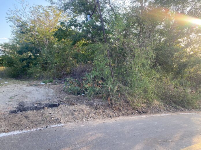 WhatsApp Image 2025-04-01 at 11.44.39 AM (1)