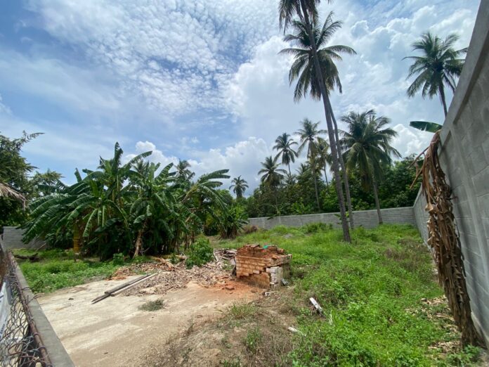 WhatsApp Image 2025-12-09 at 9.55.25 AM (1)